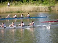 Foto's van de Randstad Regatta